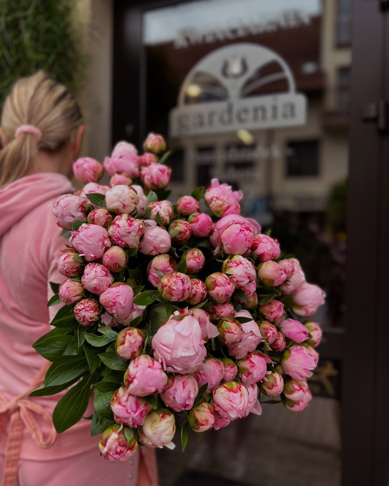 GARDENIA
